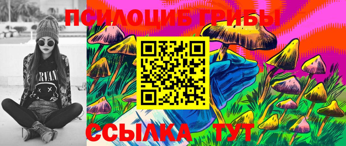 Керчь  Псилоцибиновые грибы Cubensis  Вход с VPN 